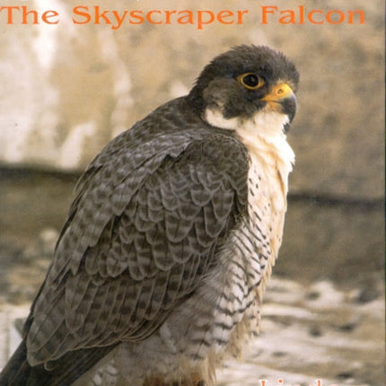 Stewart: The Skyscraper Falcon