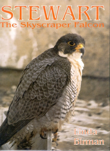 Stewart: The Skyscraper Falcon