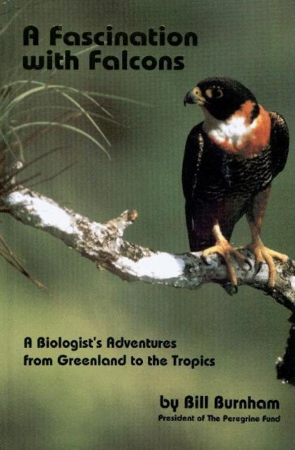 Fascination with Falcons: A Biologist's Adventures from Greenland to the Tropics