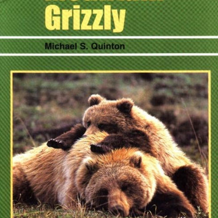 Mountain Grizzly