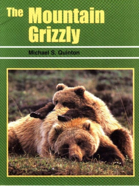 Mountain Grizzly