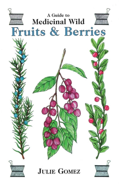 Guide to Medicinal Wild Fruits & Berries