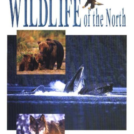 Wildlife of the North