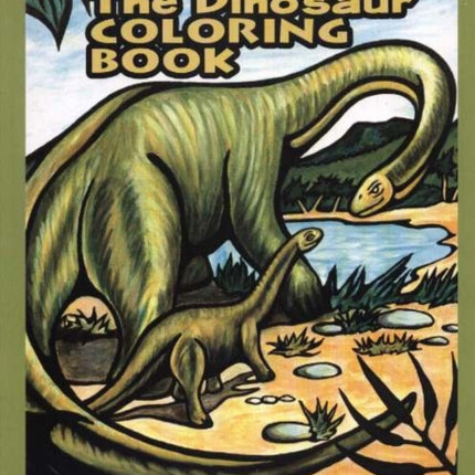 Dinosaur Coloring Book