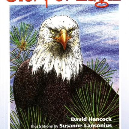 Story of Eagle Activity & Coloring Book