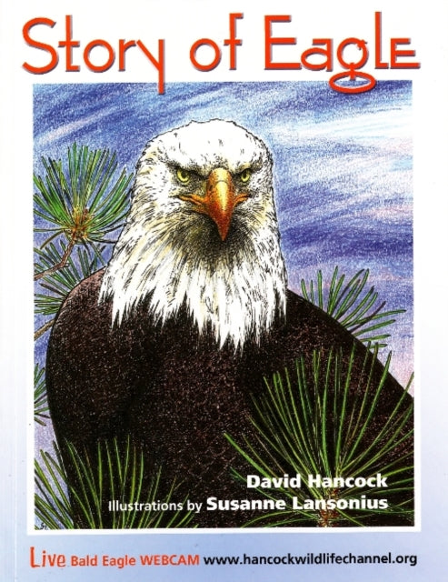 Story of Eagle Activity & Coloring Book