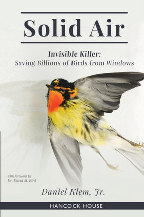 Solid Air: Invisible Killer- Saving Birds from Windows