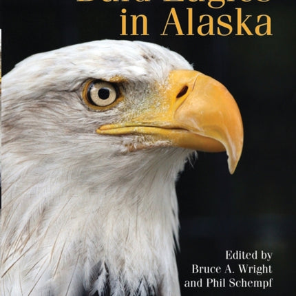 Bald Eagles in Alaska