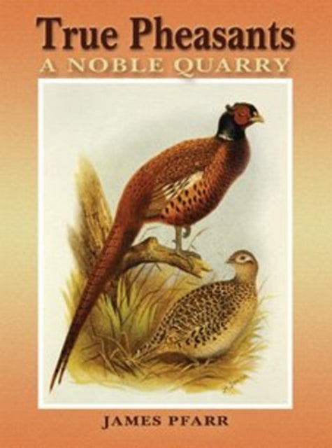 True Pheasants: A Noble Quarry