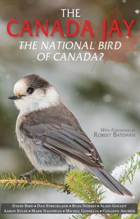 The Canada Jay: The National Bird of Canada?