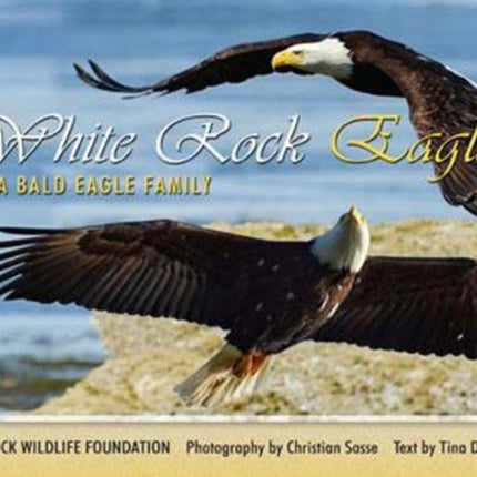 White Rock Eagles: a Bald Eagle family