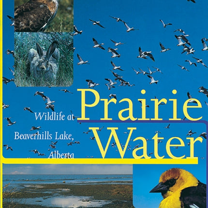 Prairie Water: Wildlife at Beaverhills Lake, Alberta