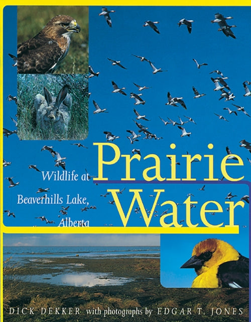 Prairie Water: Wildlife at Beaverhills Lake, Alberta