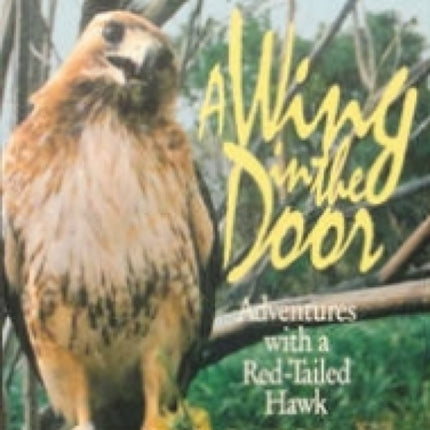 Wing in the Door A