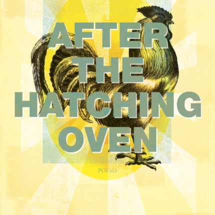 After the Hatching Oven