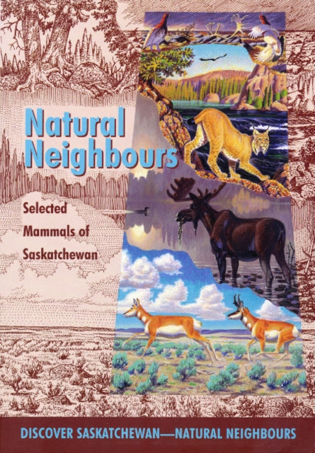 Natural Neighbours