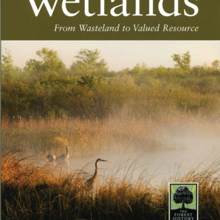Americas Forested Wetlands From Wasteland To