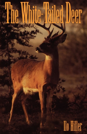 WhiteTailed Deer