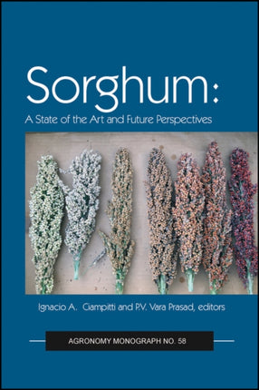 Sorghum: State of the Art and Future Perspectives