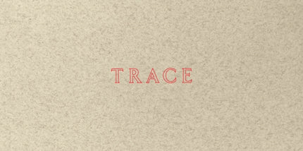 Jenny Holzer Trace