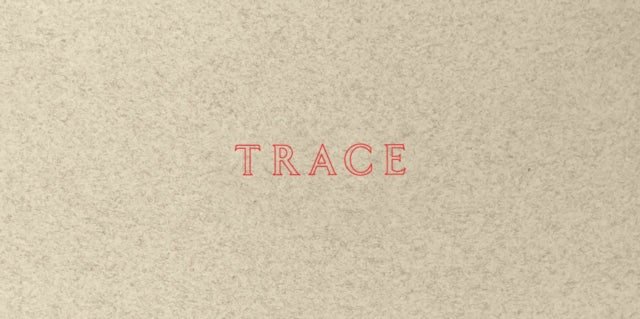 Jenny Holzer Trace