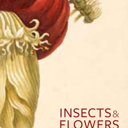 Insects and Flowers – The Art of Maria Sibylla Merian