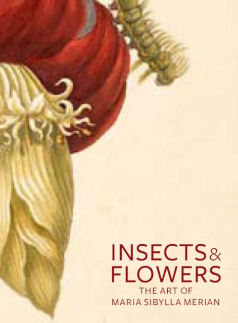 Insects and Flowers – The Art of Maria Sibylla Merian