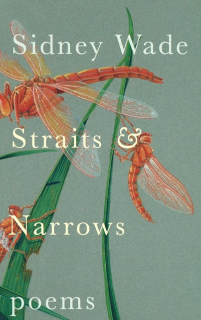 Straits & Narrows: Poems