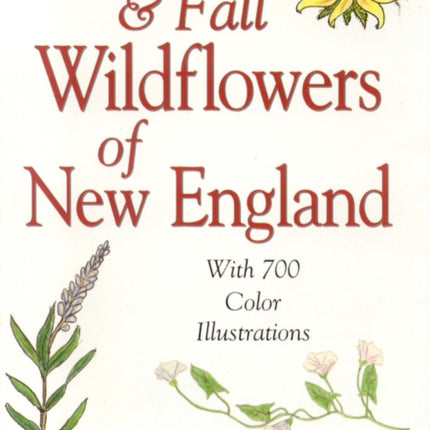 Summer  Fall Wildflowers of New England