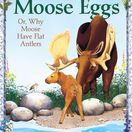 Moose Eggs Or Why Moose Have Flat Antlers