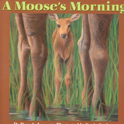 A Moose's Morning