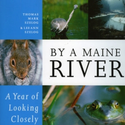 By a Maine River: A Year of Looking Closely