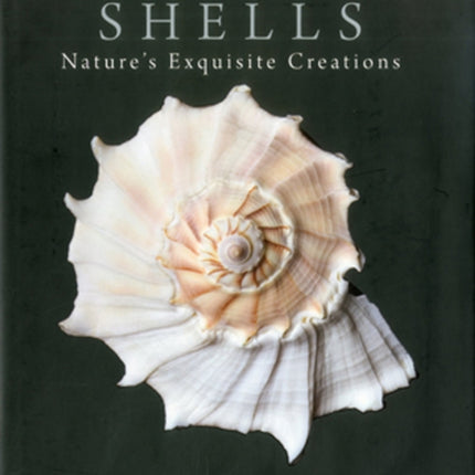 Shells: Nature's Exquisite Creations