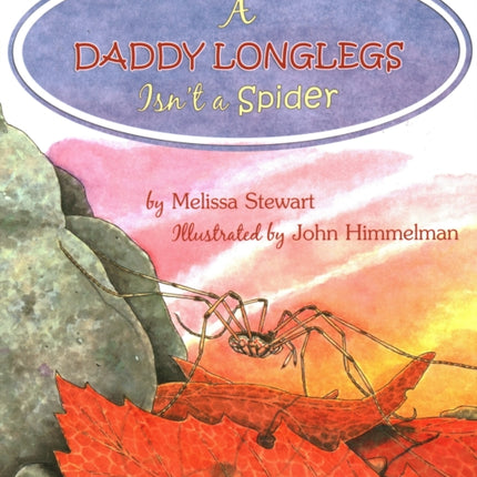 A Daddy Longlegs Isn't a Spider