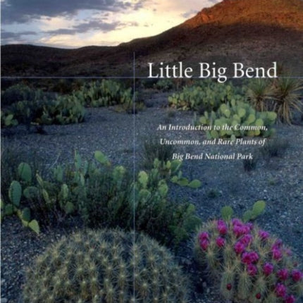 Little Big Bend: Common, Uncommon, and Rare Plants of Big Bend National Park