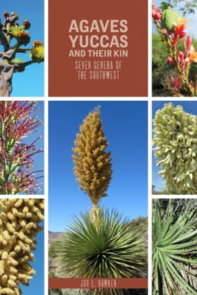 Agaves Yucca and Their Kin