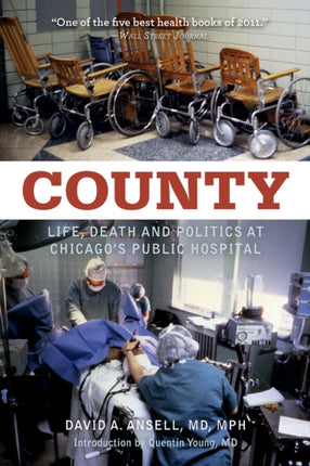 County: Life, Death, and Politics at Chicago's Public Hospital