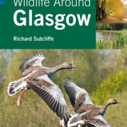 Wildlife Around Glasgow: 50 Remarkable Sites to Explore