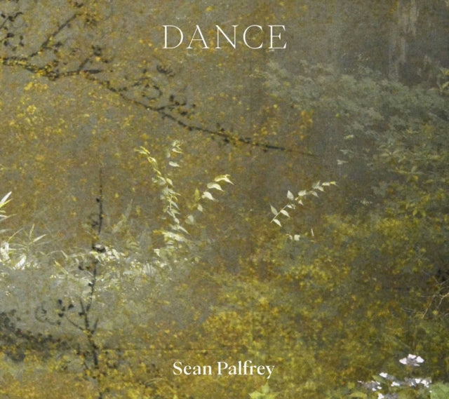 Sean Palfrey Dance