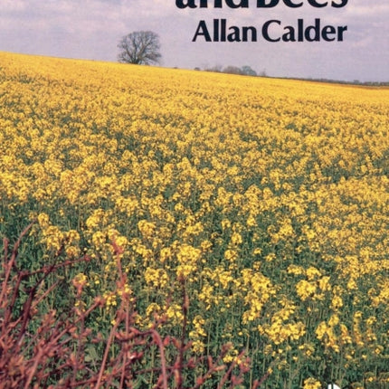 Oilseed Rape and Bees