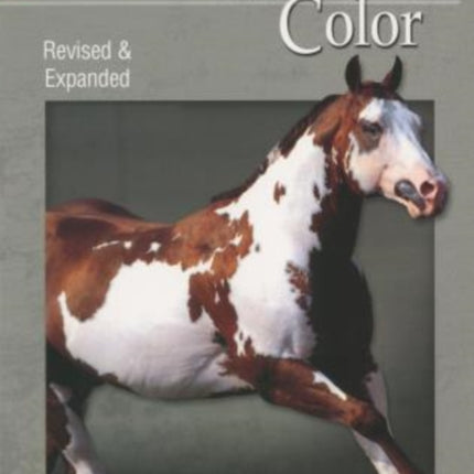 More than Color: Paint Horse Legends