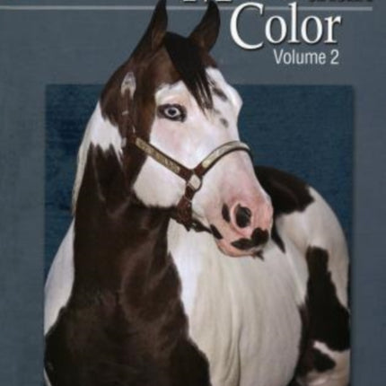 More than Color: Paint Horse Legends