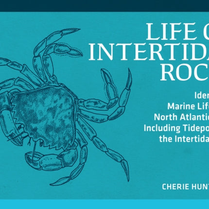 Life on Intertidal Rocks