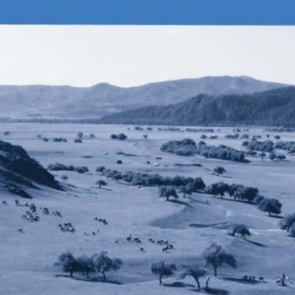 Continuity and Authority on the Mongolian Steppe: The Egiin Gol Survey 1997–2002