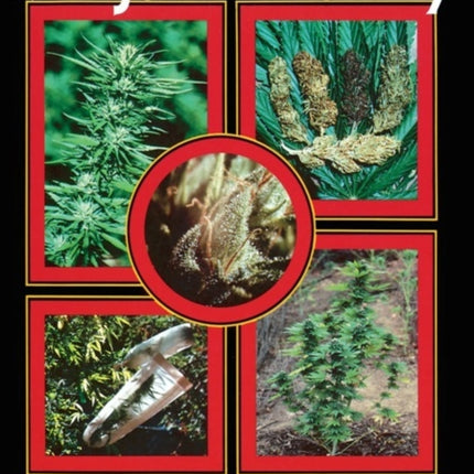 Marijuana Botany
