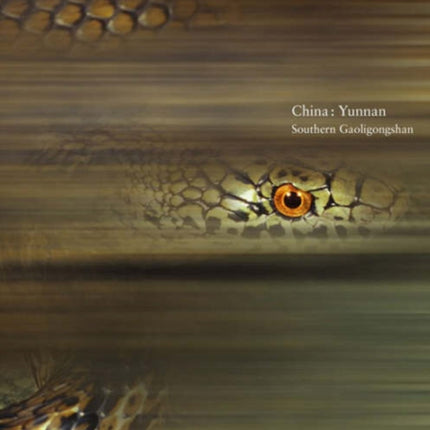 China Yunnan Southern Gaoligongshan