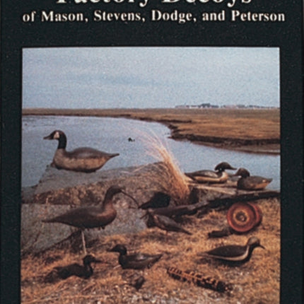 Factory Decoys of Mason, Stevens, Dodge and Peterson