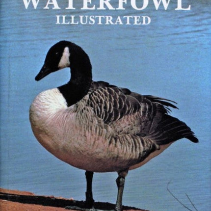 Waterfowl Illustrated