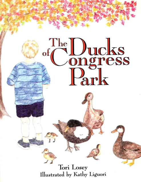 The Ducks Of Congress Park