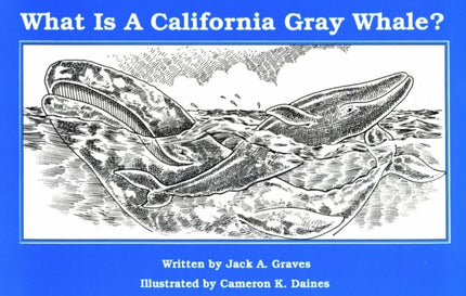 What Is A California Grey Whale?